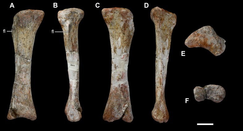 Figure 26