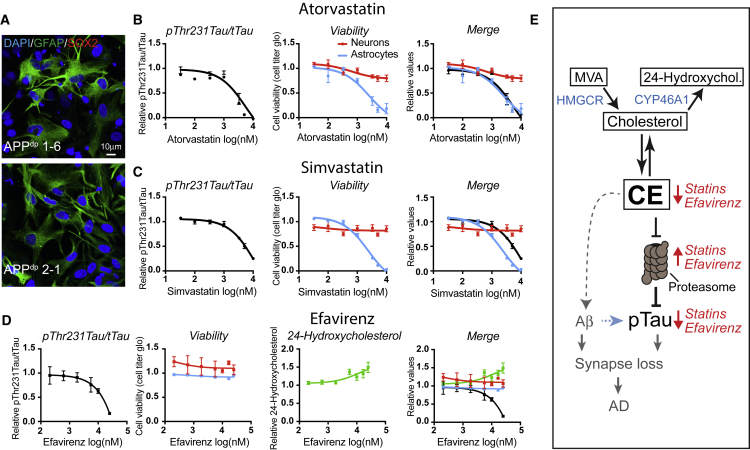 Figure 6