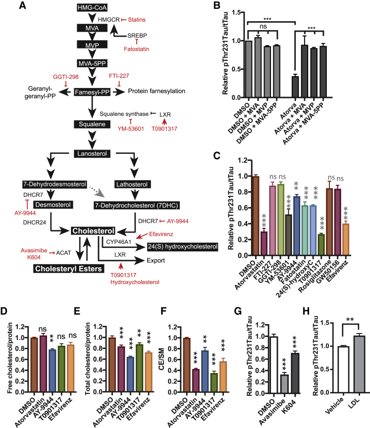 Figure 2