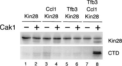 FIG. 6