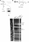 FIG. 5.