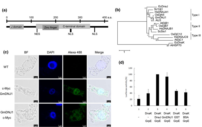 FIGURE 1