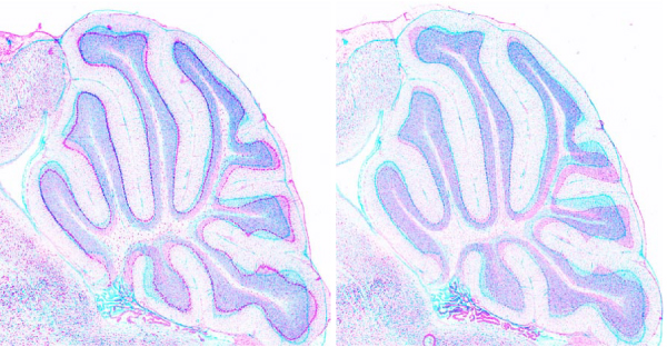 Figure 16