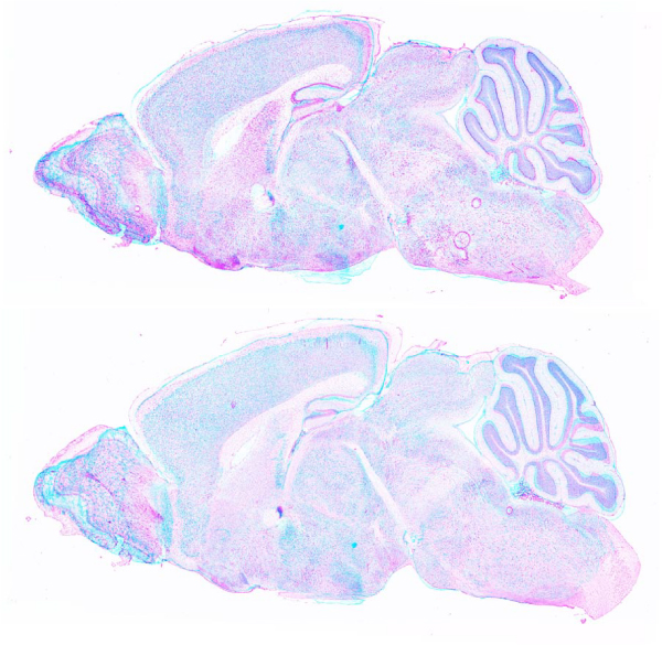 Figure 14