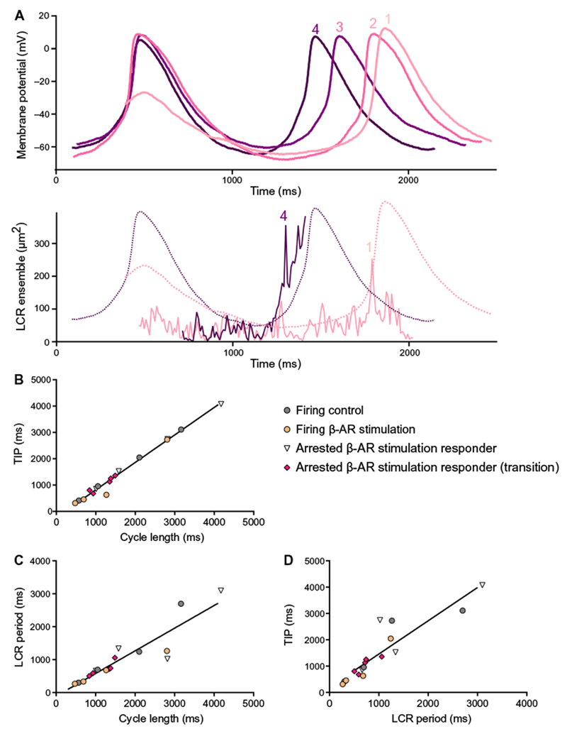 Fig. 6.