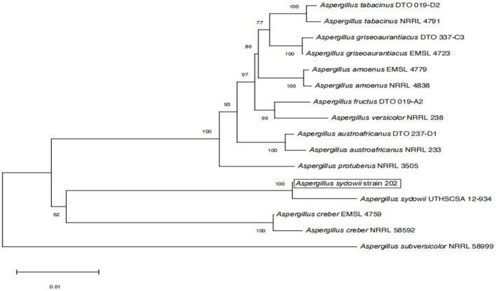 Figure 4