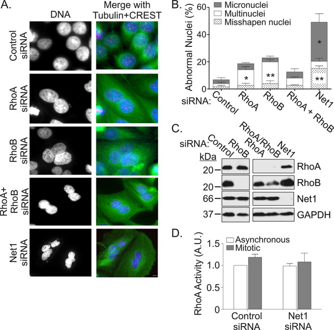 FIGURE 6: