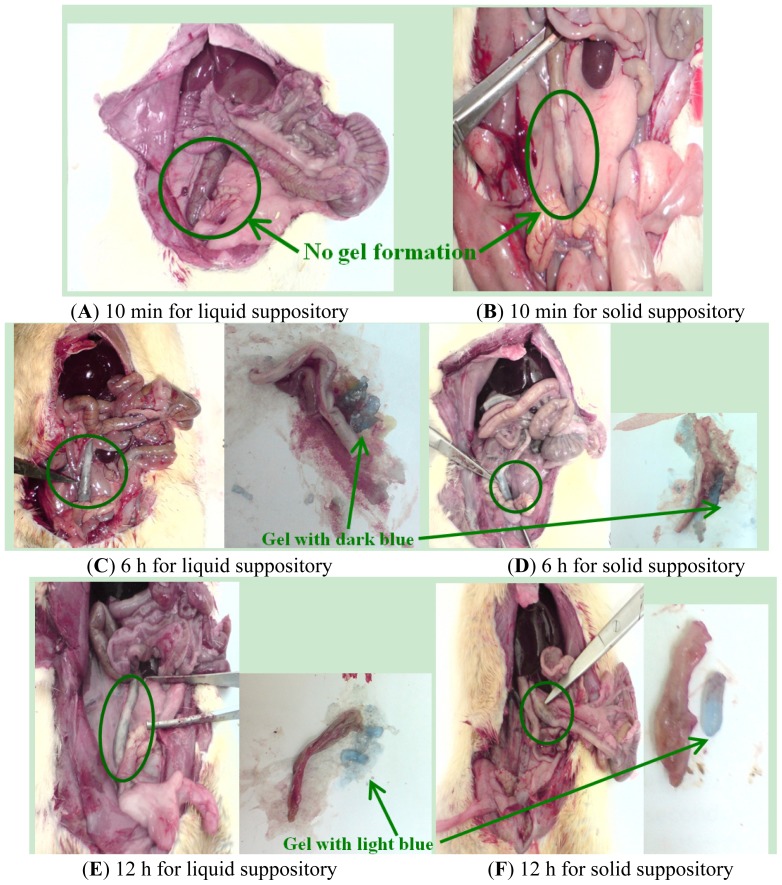 Figure 5.