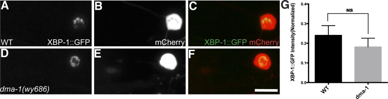 Figure 6—figure supplement 3.