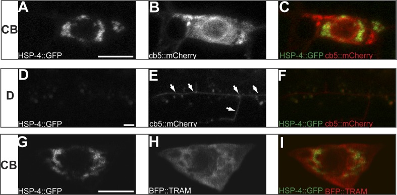 Figure 3—figure supplement 2.