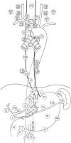 Fig. 1-4