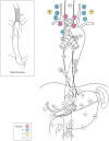 Fig. 1-8