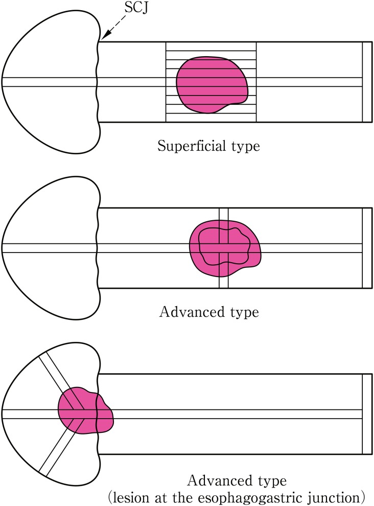 Fig. 1-15