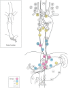Fig. 1-12