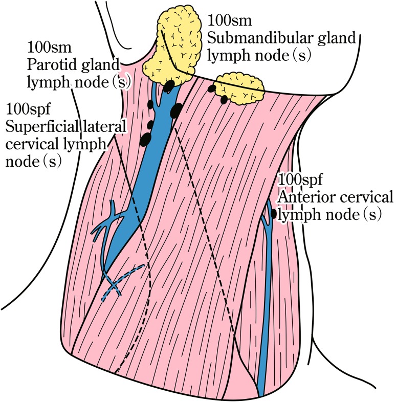 Fig. 1-5