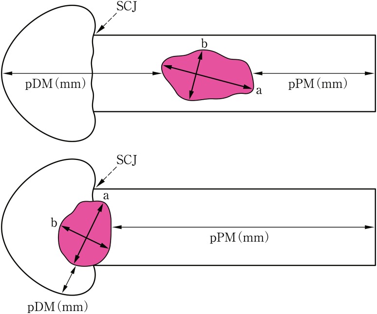 Fig. 13