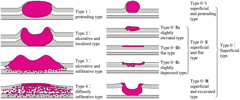 Fig. 1-2