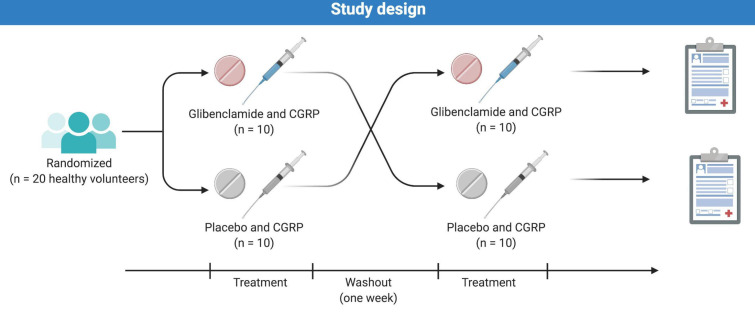 FIGURE 1