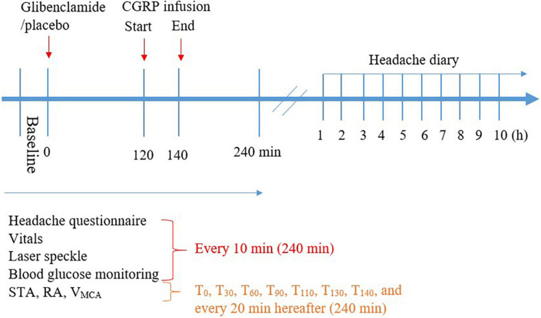 FIGURE 2