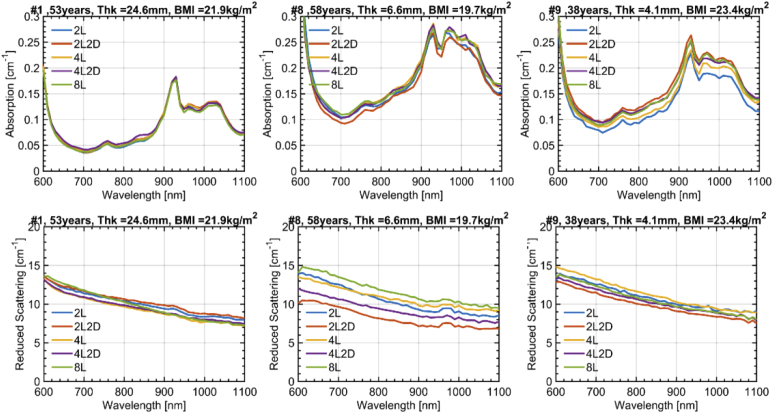 Fig. 4.