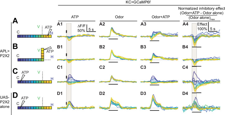 Figure 6.