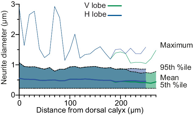 Figure 8—figure supplement 4.