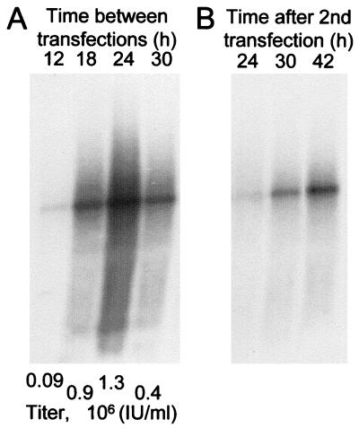 FIG. 6