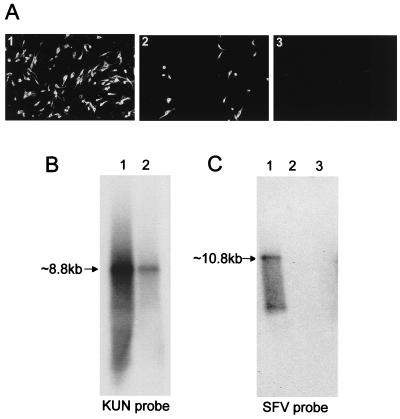 FIG. 5