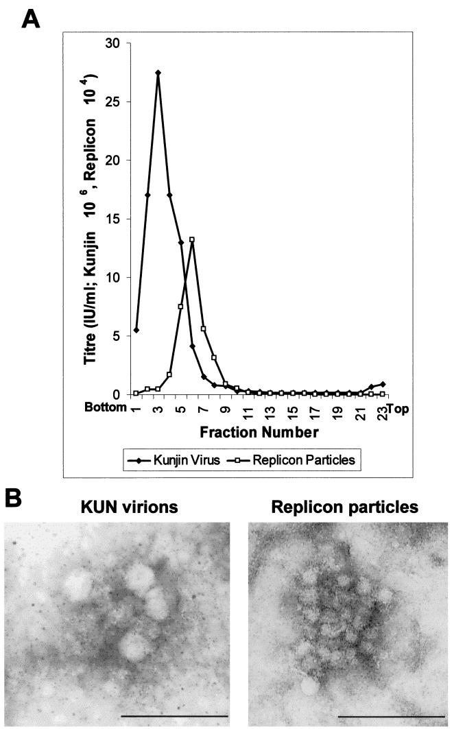 FIG. 8