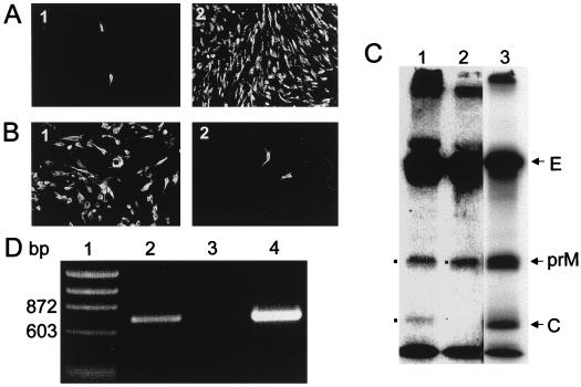 FIG. 7