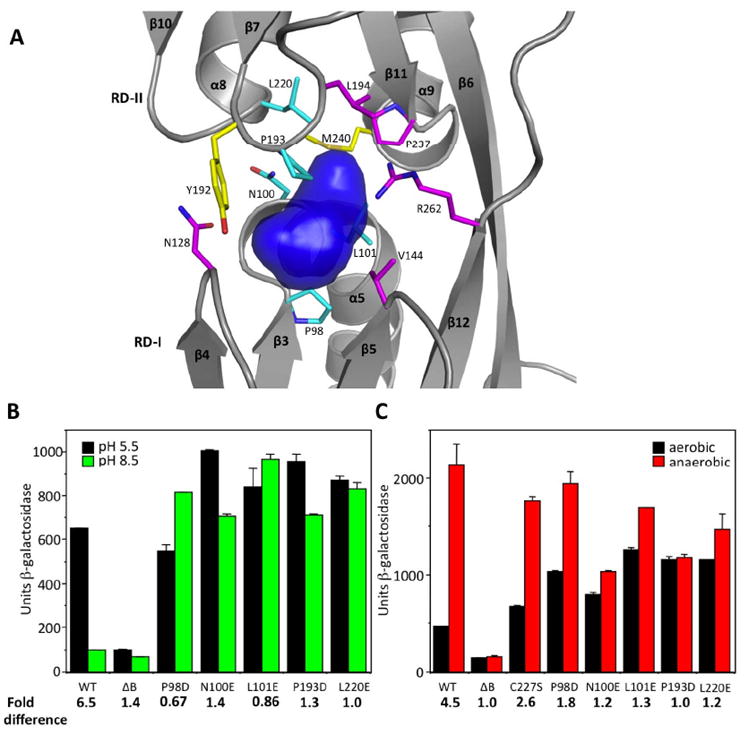 Fig. 4