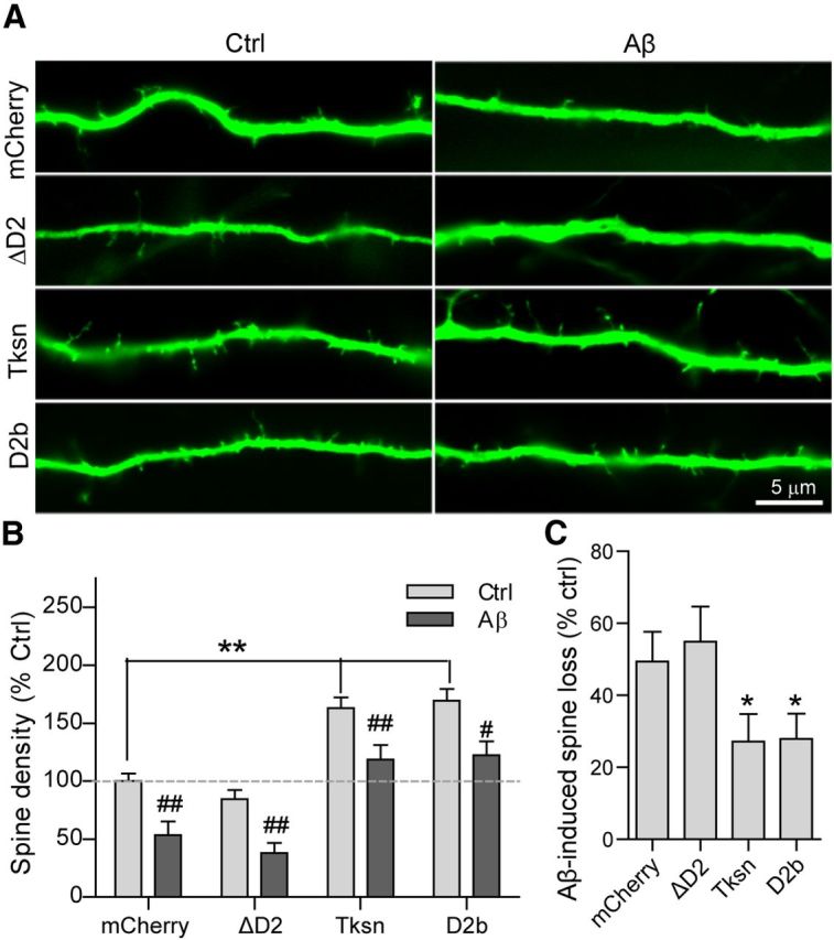 Figure 12.