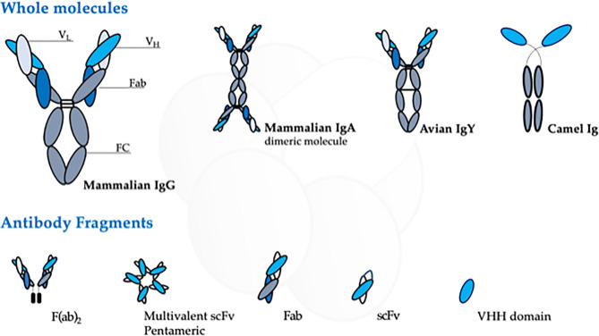 Figure 2