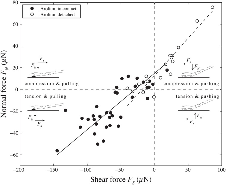 Fig 5