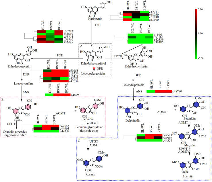 FIGURE 6