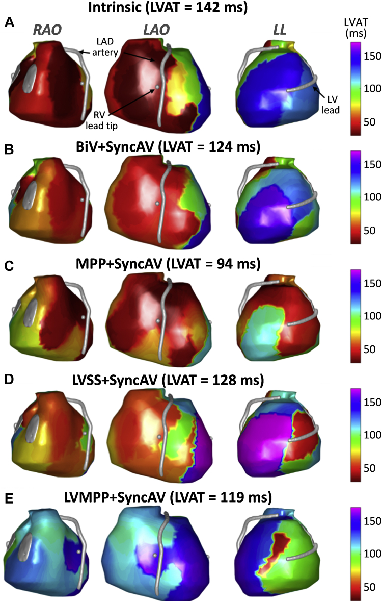 Figure 3