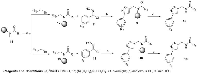 Scheme 2