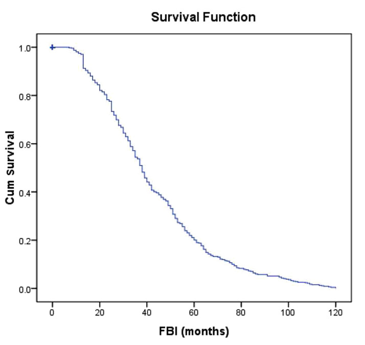 Fig.1