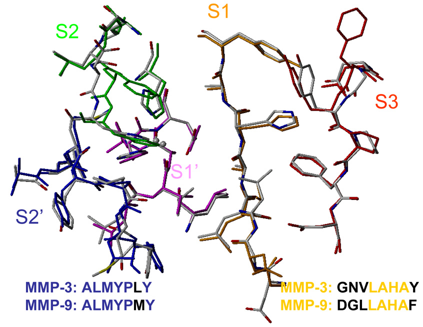 Fig. 4