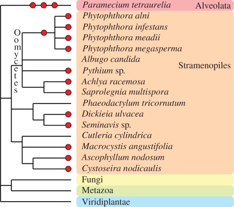 Figure 2.