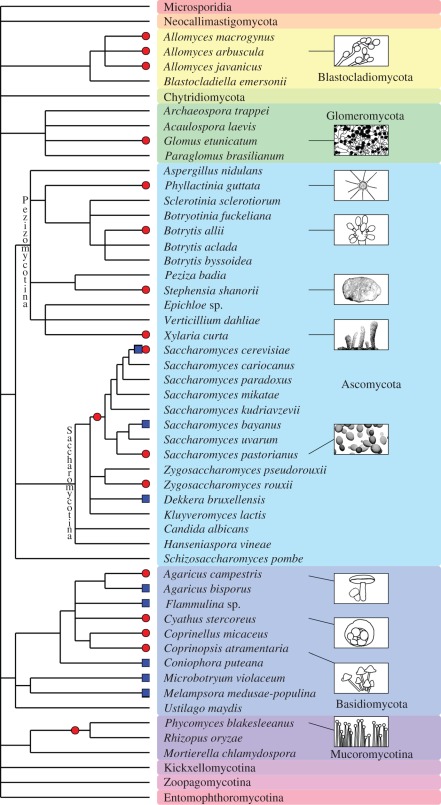 Figure 3.