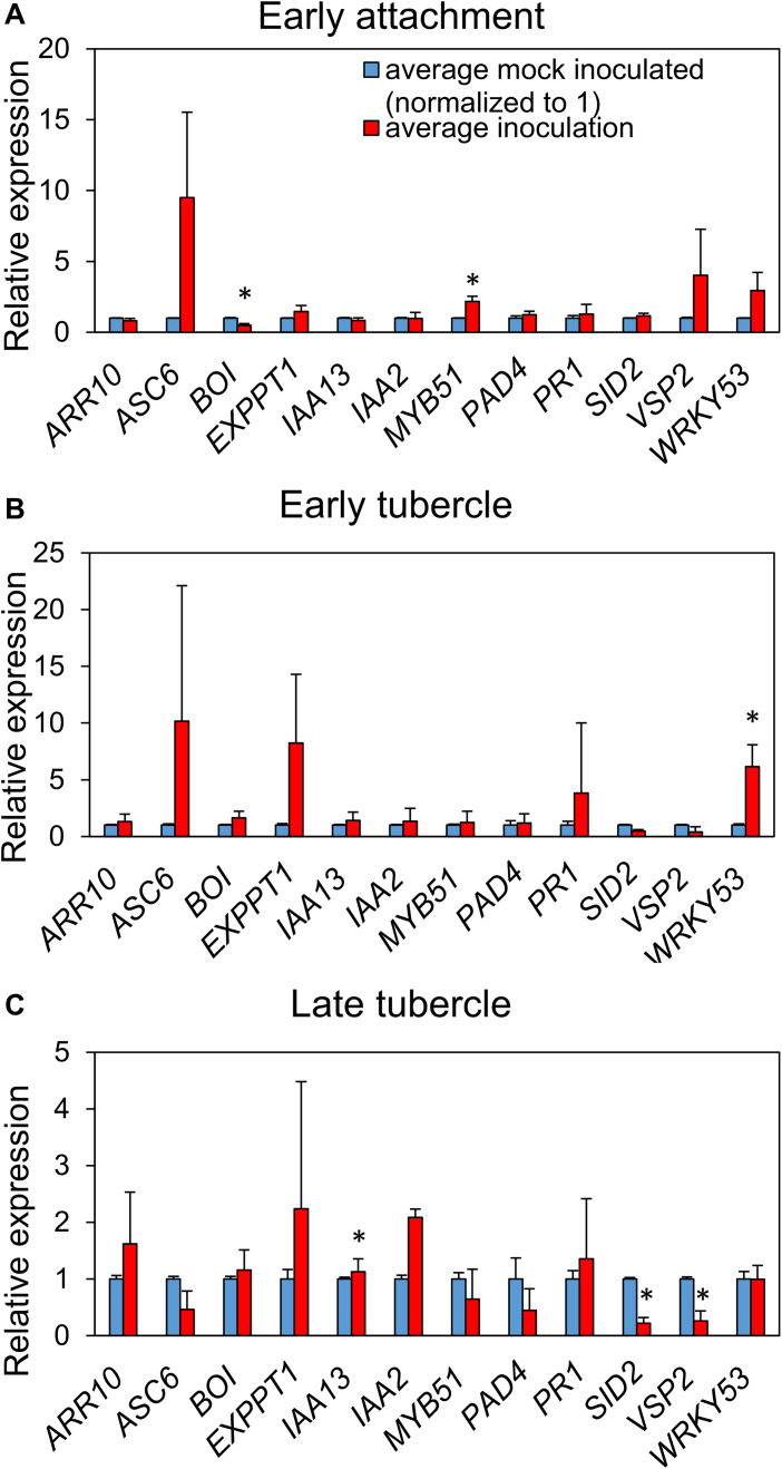 Figure 5