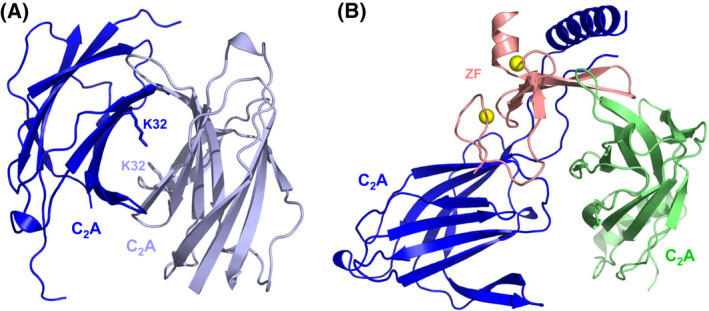 Fig. 9