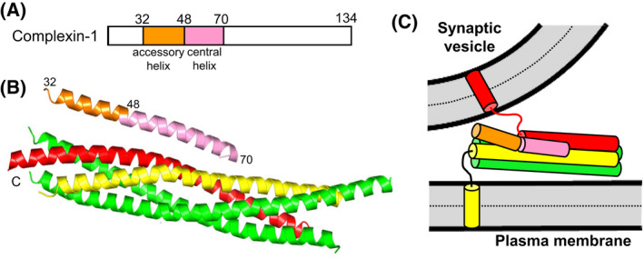 Fig. 3