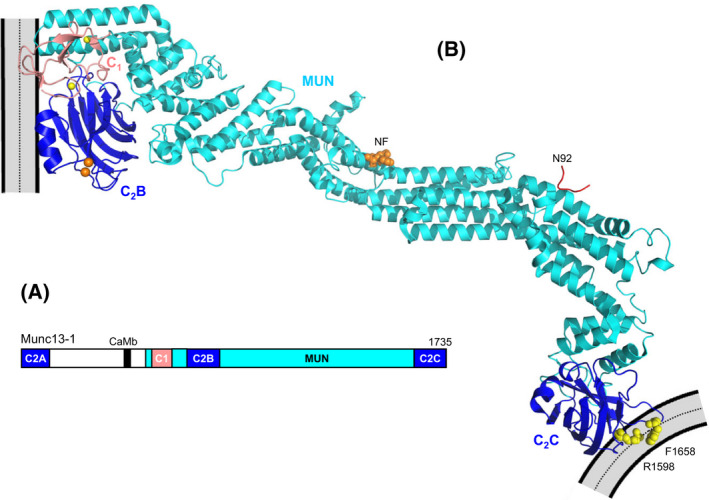 Fig. 8