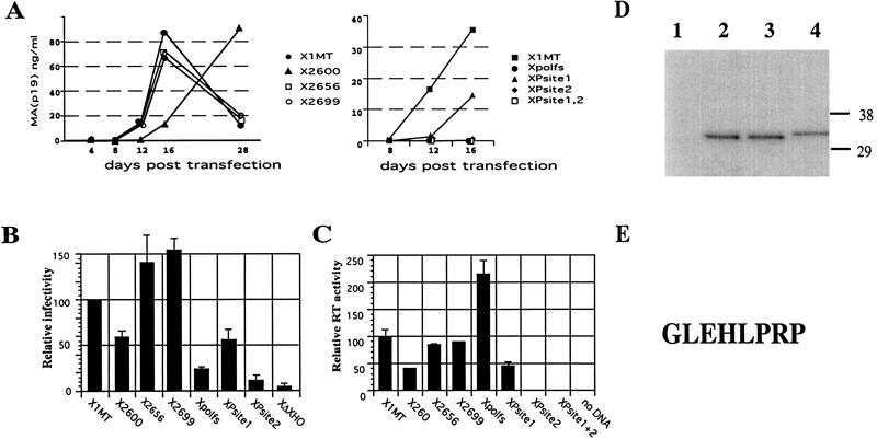 FIG. 4.