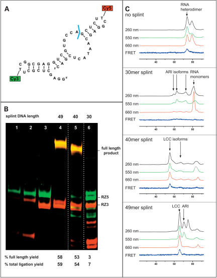 FIGURE 2.