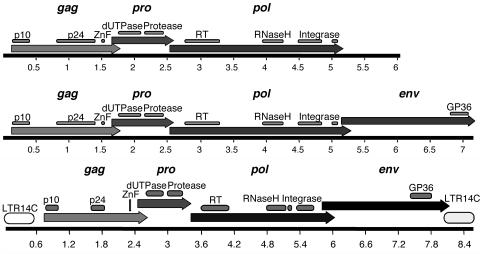 FIG. 1.