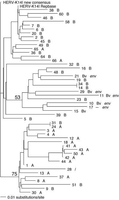 FIG. 5.