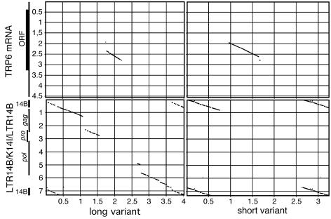 FIG. 6.